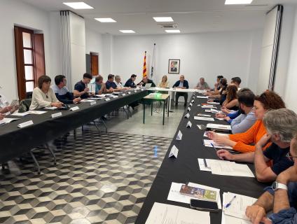 Consell d'Alcaldesses i Alcaldes de l'Alt Camp a Picamoixons 