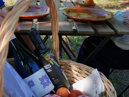 Pícnic al Celler Mas Bella - Masmolets