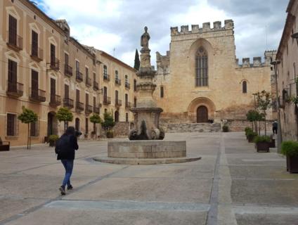 Patrimoni de l'Alt Camp - Santes Creus