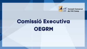 Comissió Executiva OEGRM