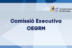 Comissió Executiva OEGRM